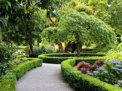 重慶峰宇園林建設|重慶園林規劃設計|重慶園林施工|重慶城市園林綠化|重慶花卉苗木|重慶園藝產品|重慶花木租售