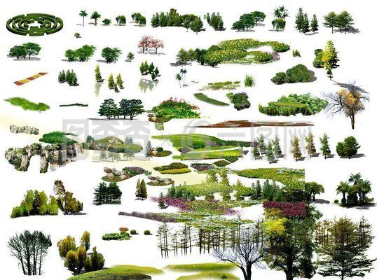園林綠化設計景觀樹木圖片