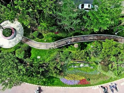 歷下園林:以工匠精神提升城市園林養護水平