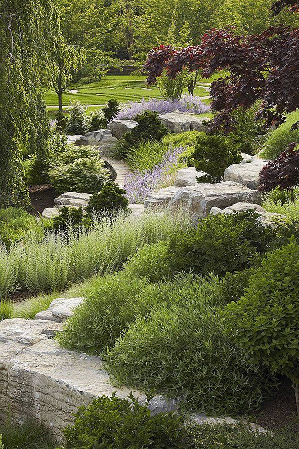 庭院植物造景設計意向圖