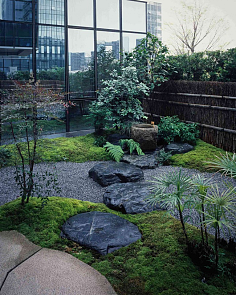 園林設(shè)計 藝術(shù)與自然的和諧交融