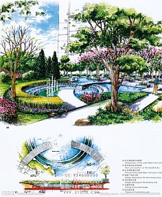 園林設(shè)計(jì)中的植物配置藝術(shù)