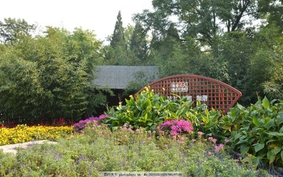 綠化景觀與園林設計 融合自然與人文的藝術