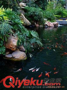 專業房地產攝影服務——深圳市揚名攝影設計