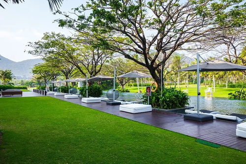 城市園林設計中的環境設計闡述