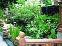 孔世胡 園林設計中的東方哲思與自然韻律